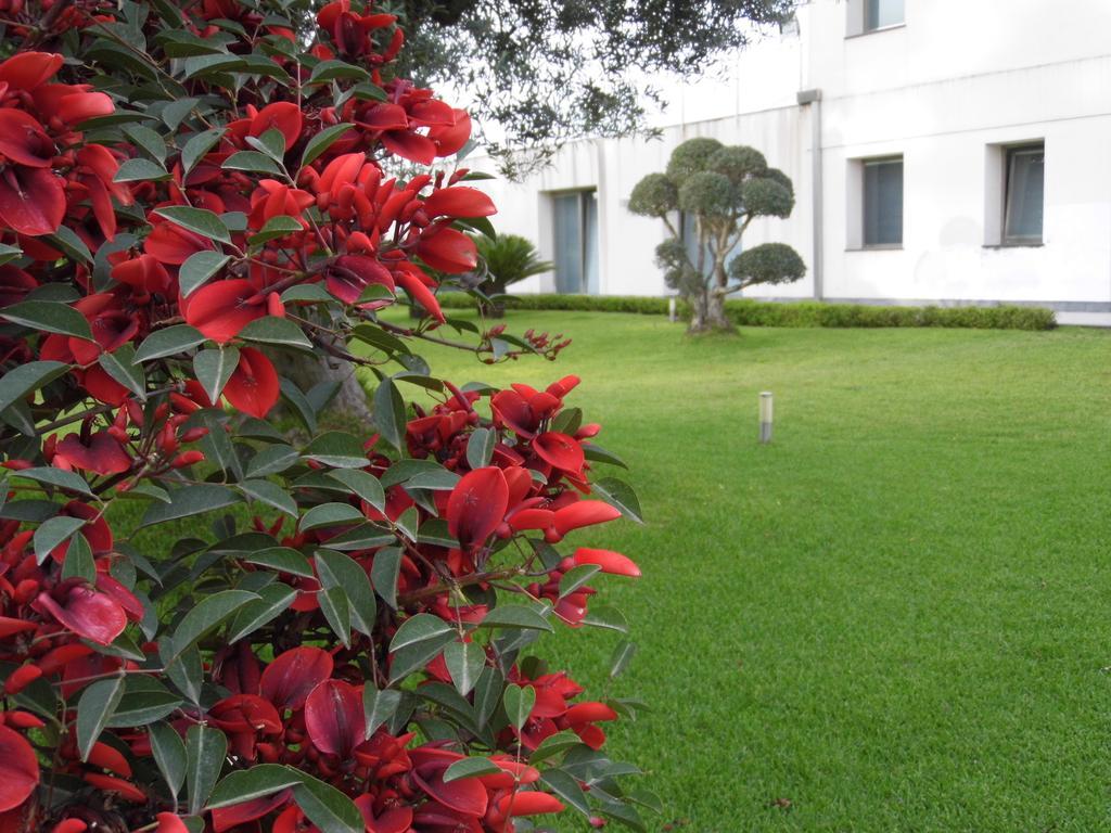 Fiore Dell'Etna Santa Venerina Exterior foto