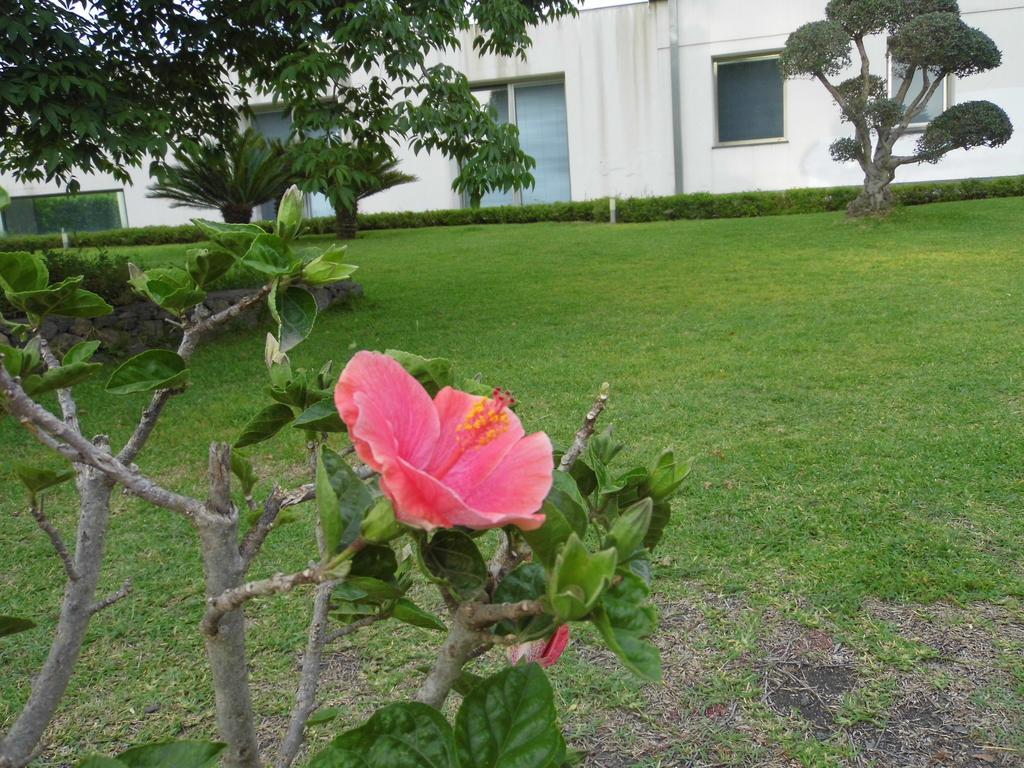 Fiore Dell'Etna Santa Venerina Exterior foto